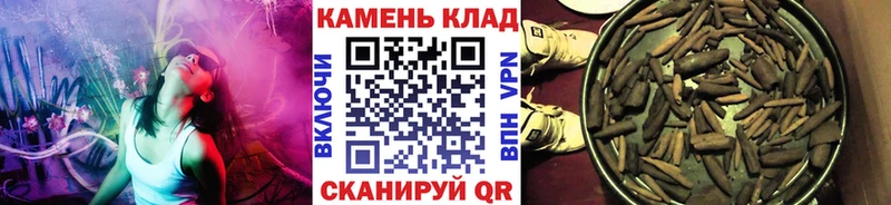 blacksprut ТОР  Нефтекамск  ГАШИШ Изолятор 