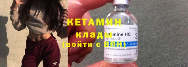 прущие грибы Заводоуковск
