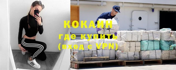прущие грибы Заводоуковск