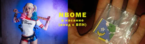 прущие грибы Заводоуковск