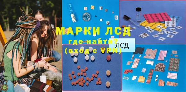 прущие грибы Заводоуковск