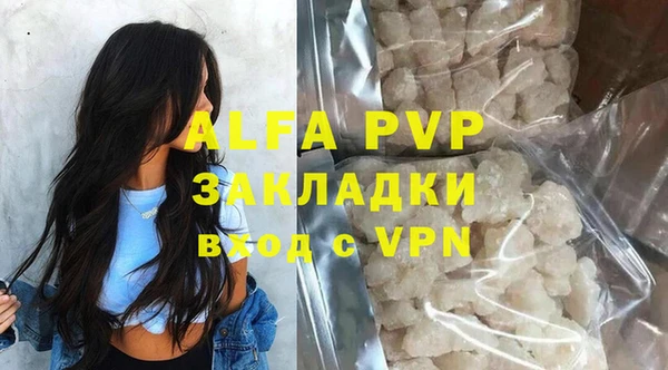 прущие грибы Заводоуковск