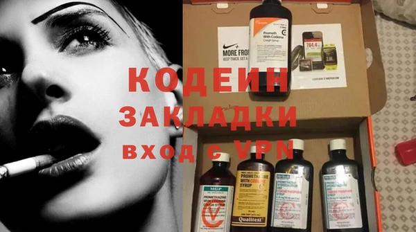 прущие грибы Заводоуковск